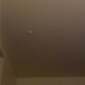 Meet your Posher, Logan